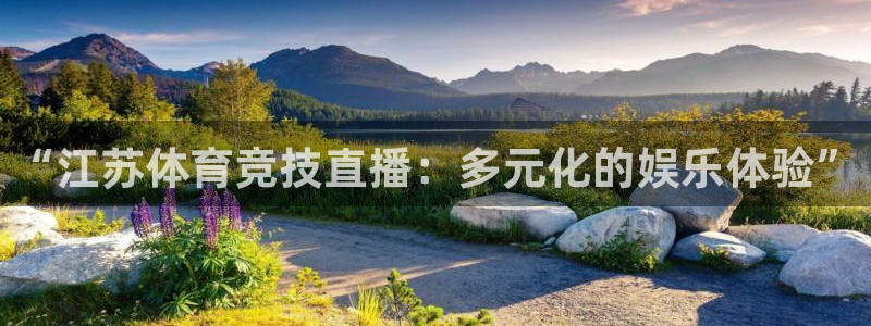 新球体育比分网：“江苏体育竞技直播：多元化的娱乐体验”