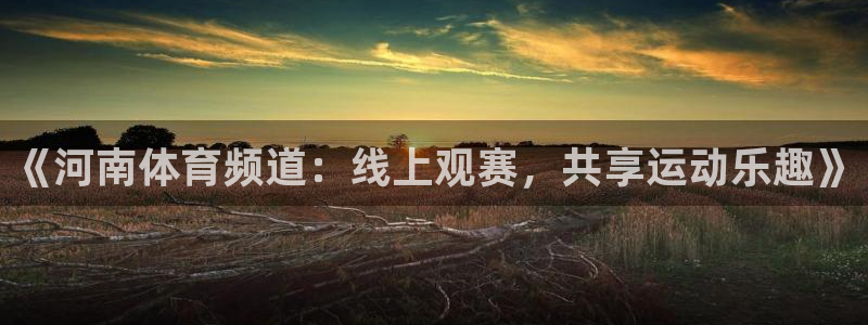新球网直播：《河南体育频道：线上观赛，共享运动乐趣》