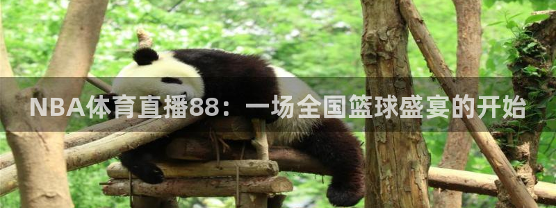 新球体育完整版：NBA体育直播88：一场全国篮球盛宴的开始