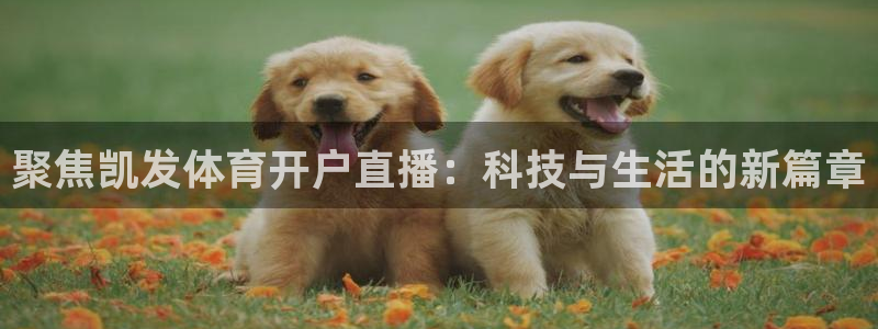 新球体育比分网：聚焦凯发体育开户直播：科技与生活的新篇章