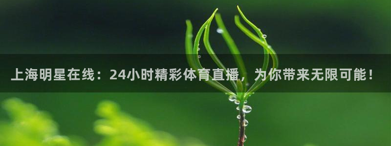 新球体育赛事：上海明星在线：24小时精彩体育直播，为你带来无限可能！