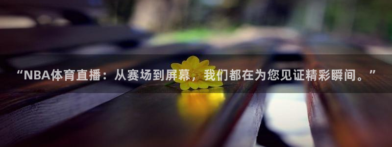 新球体育足球即时比分：“NBA体育直播：从赛场到屏幕，我们都在为您见证精彩瞬间。”