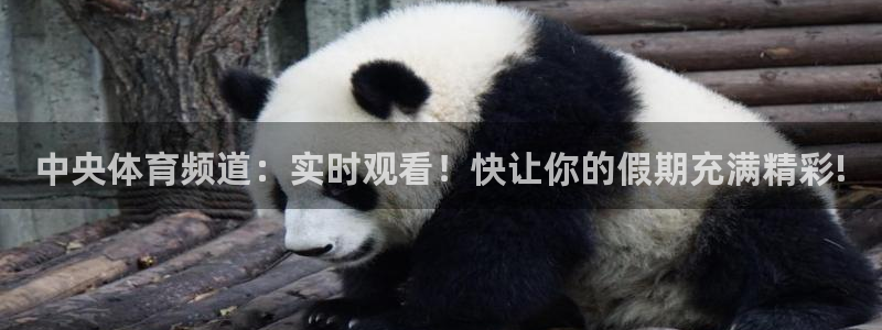 新球体育app：中央体育频道：实时观看！快让你的假期充满精彩!
